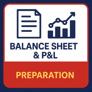 Balance Sheet & P&L Preparation