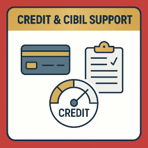 Credit cibil support