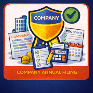 Company Annual Filing