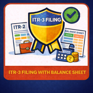 ITR-3 Filing With Balance Sheet