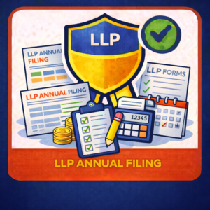 LLP Annual Filing