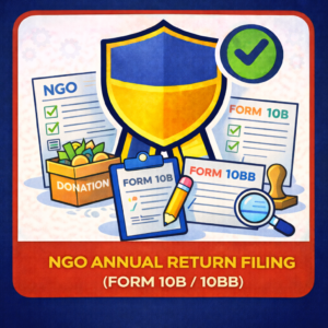 NGO Annual Return Filing (Form 10B / 10BB)