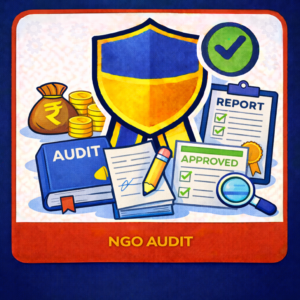 NGO Audit